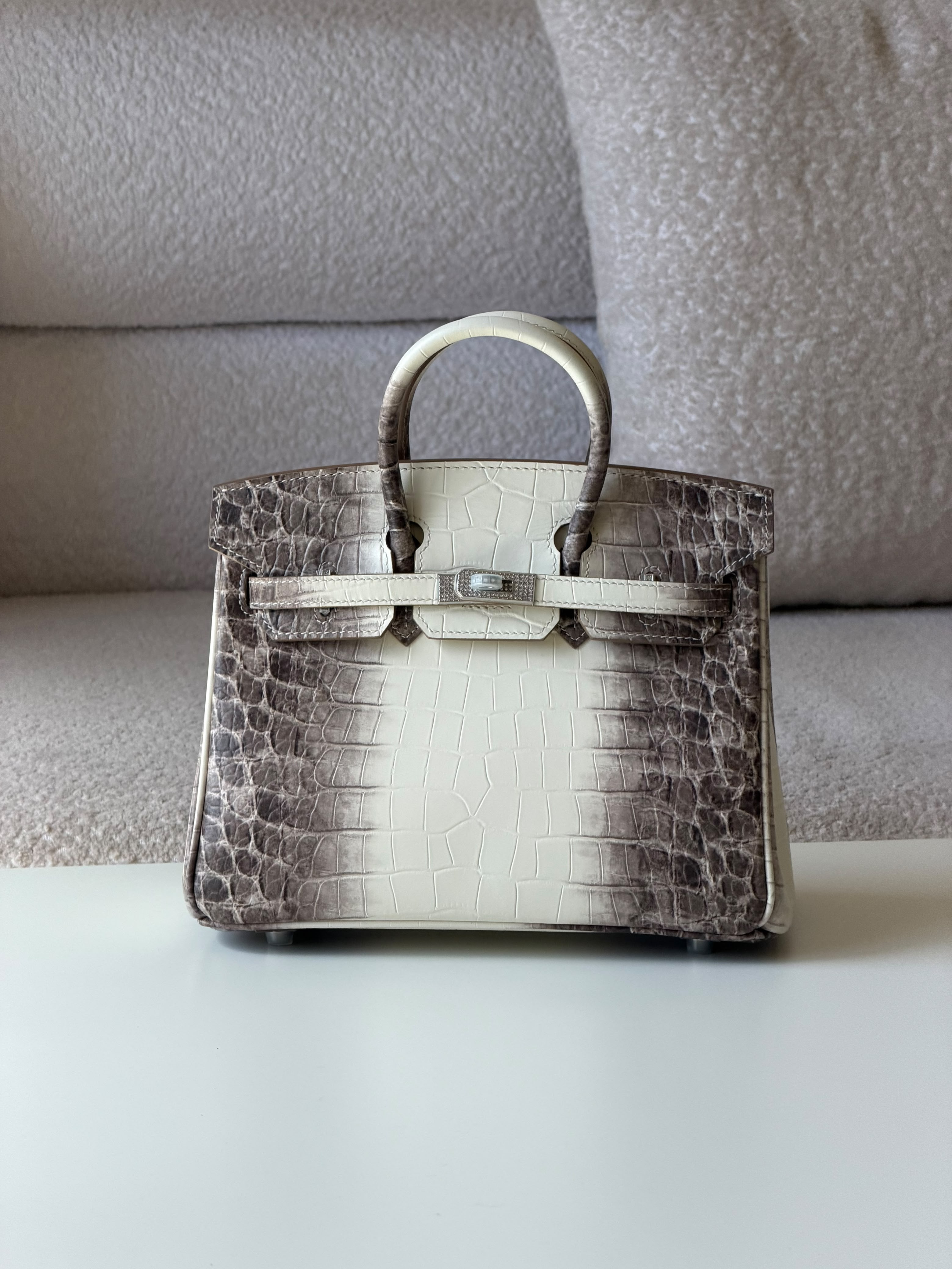 Hermes Birkin Croc 25cm