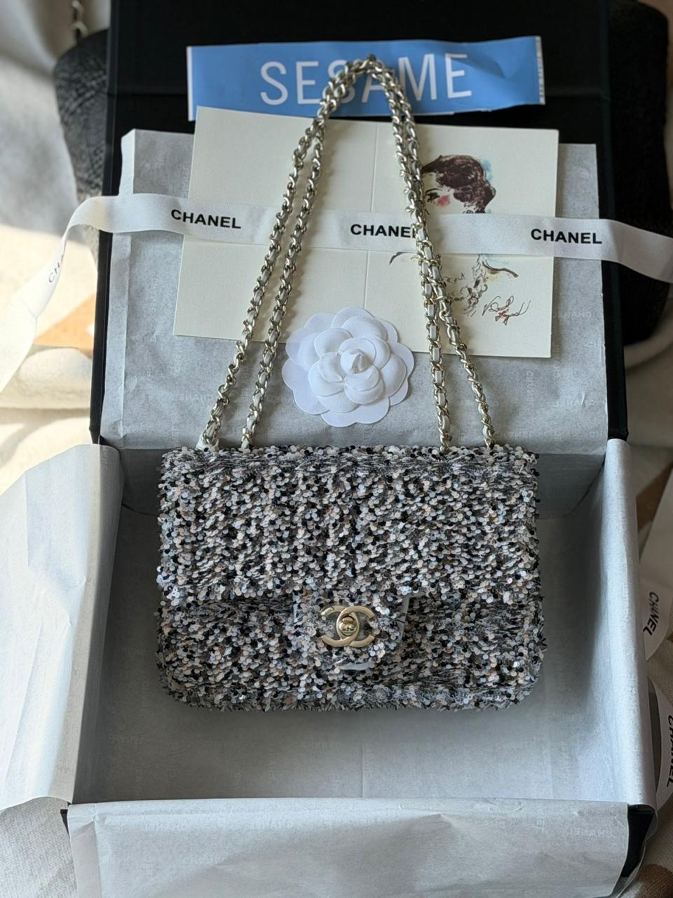 Chanel Classic Flap Bag fully embellished 20cm