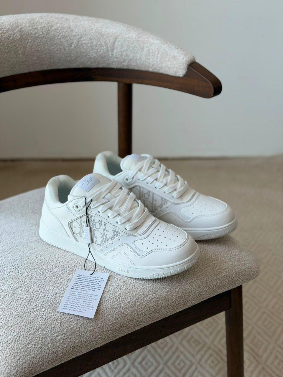 Dior B27 Low Top Sneakers