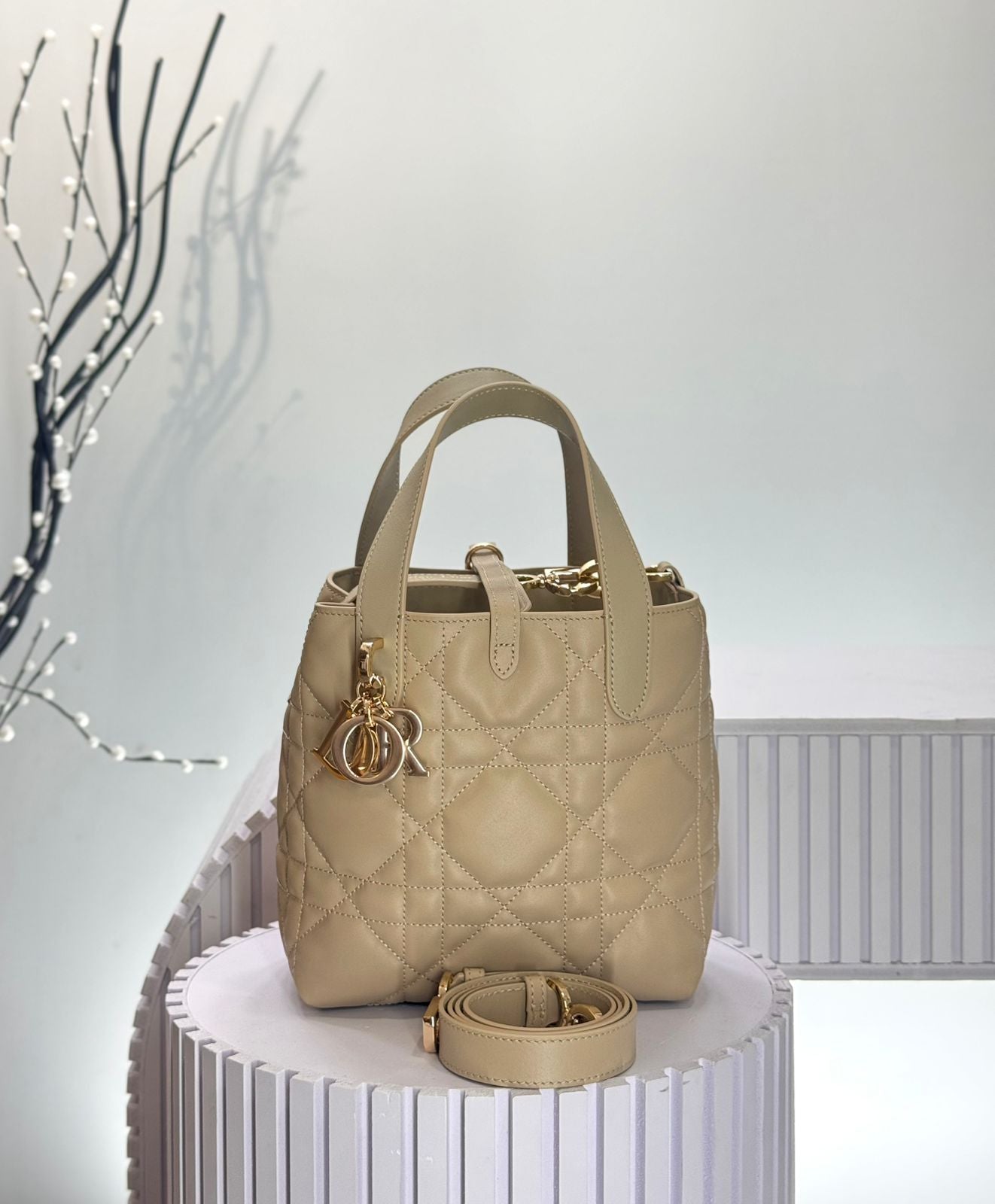 Dior Toujours Vertical Tote Bag