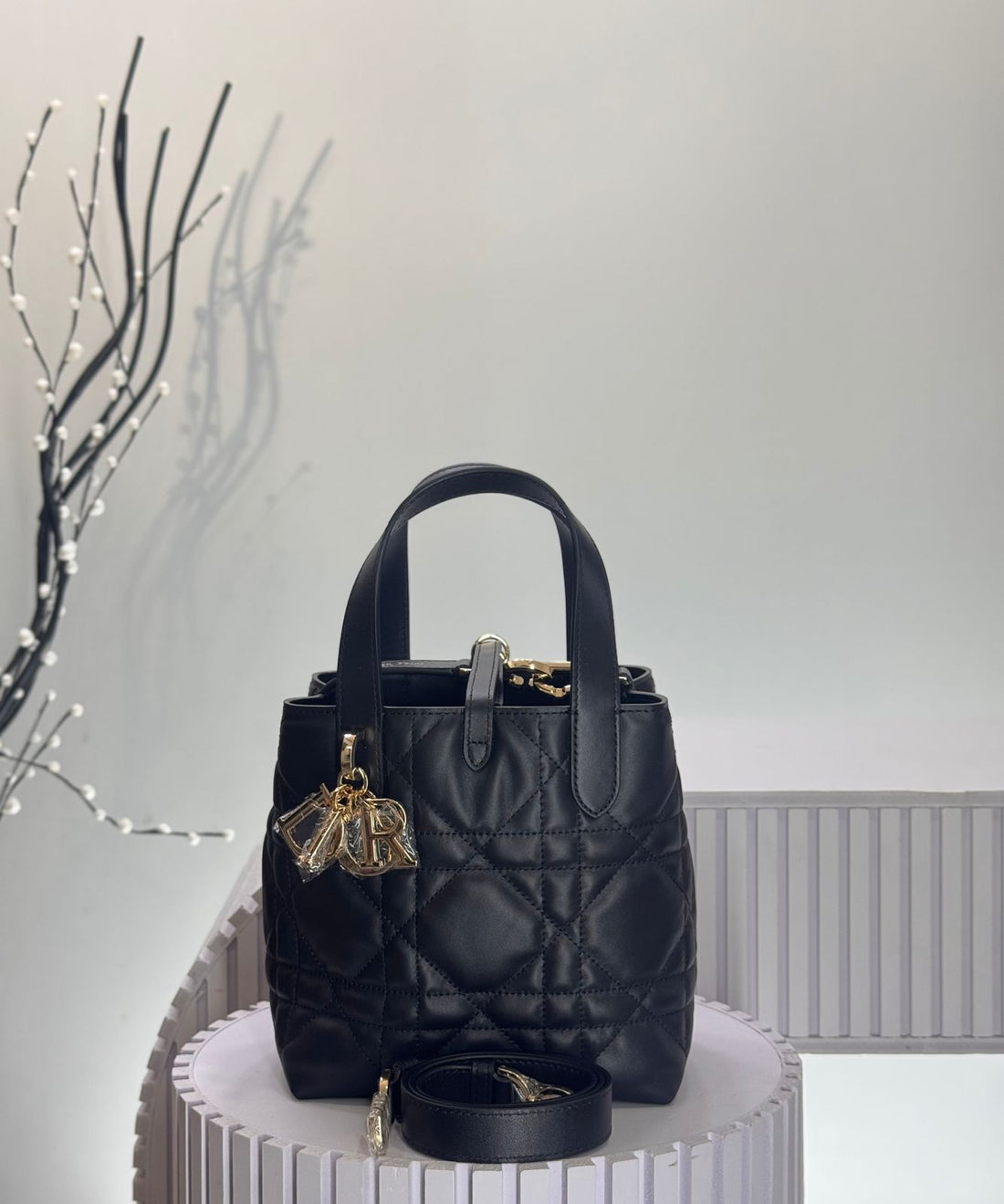 Dior Toujours Vertical Tote Bag