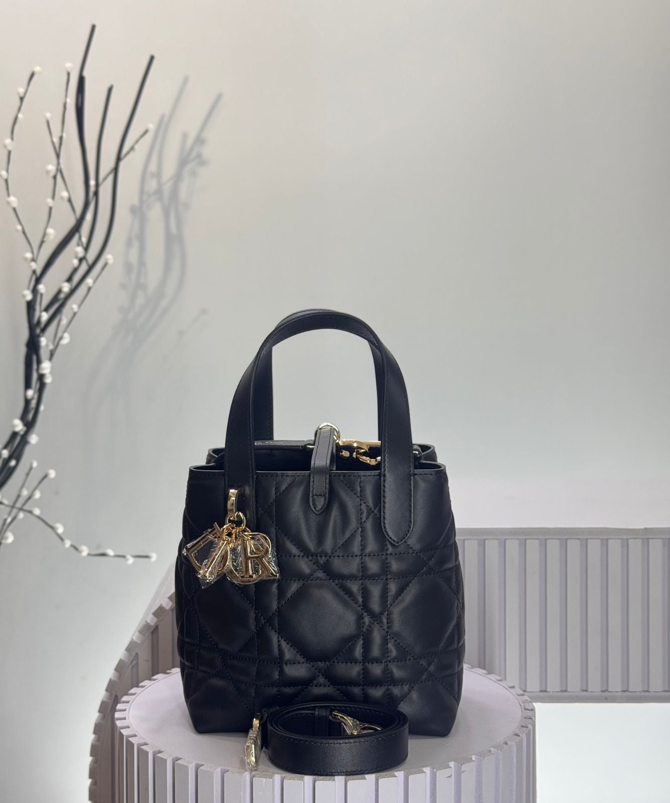 Dior Toujours Vertical Tote Bag