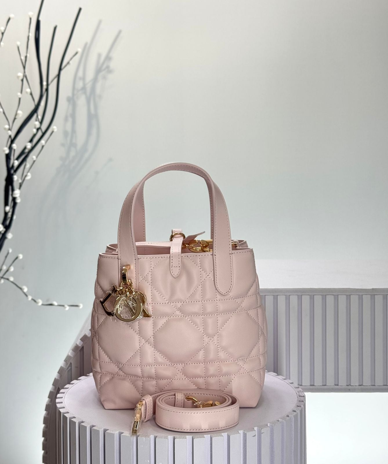 Dior Toujours Vertical Tote Bag