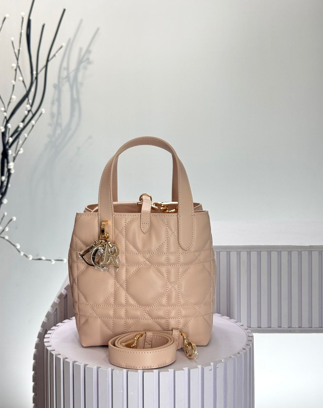 Dior Toujours Vertical Tote Bag