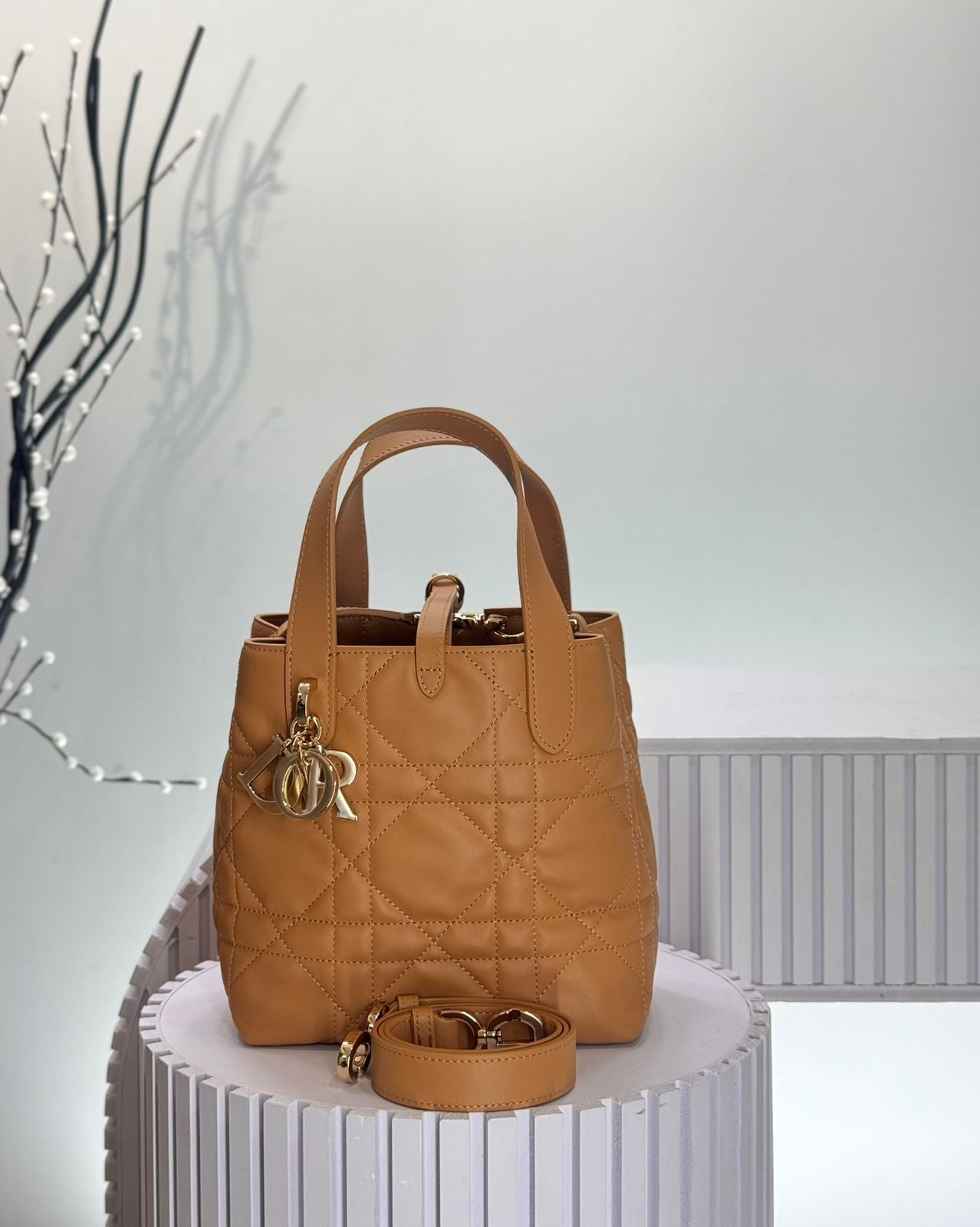 Dior Toujours Vertical Tote Bag
