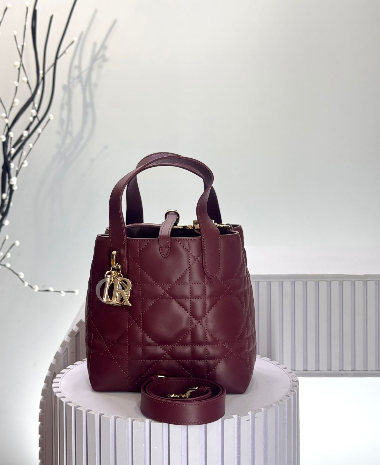 Dior Toujours Vertical Tote Bag