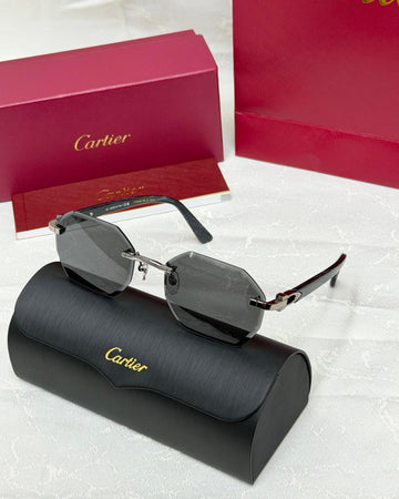 Cartier CT0439S