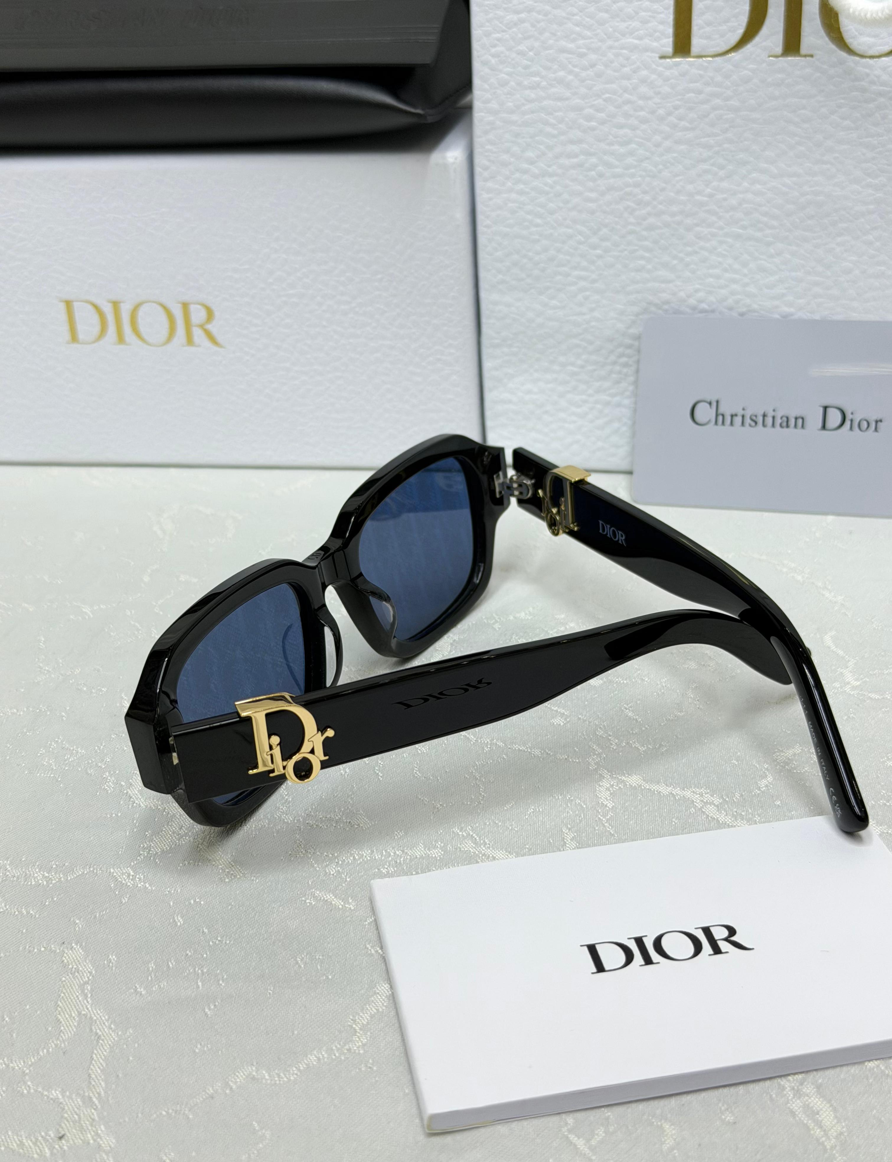 Christian Dior Oblique S1l