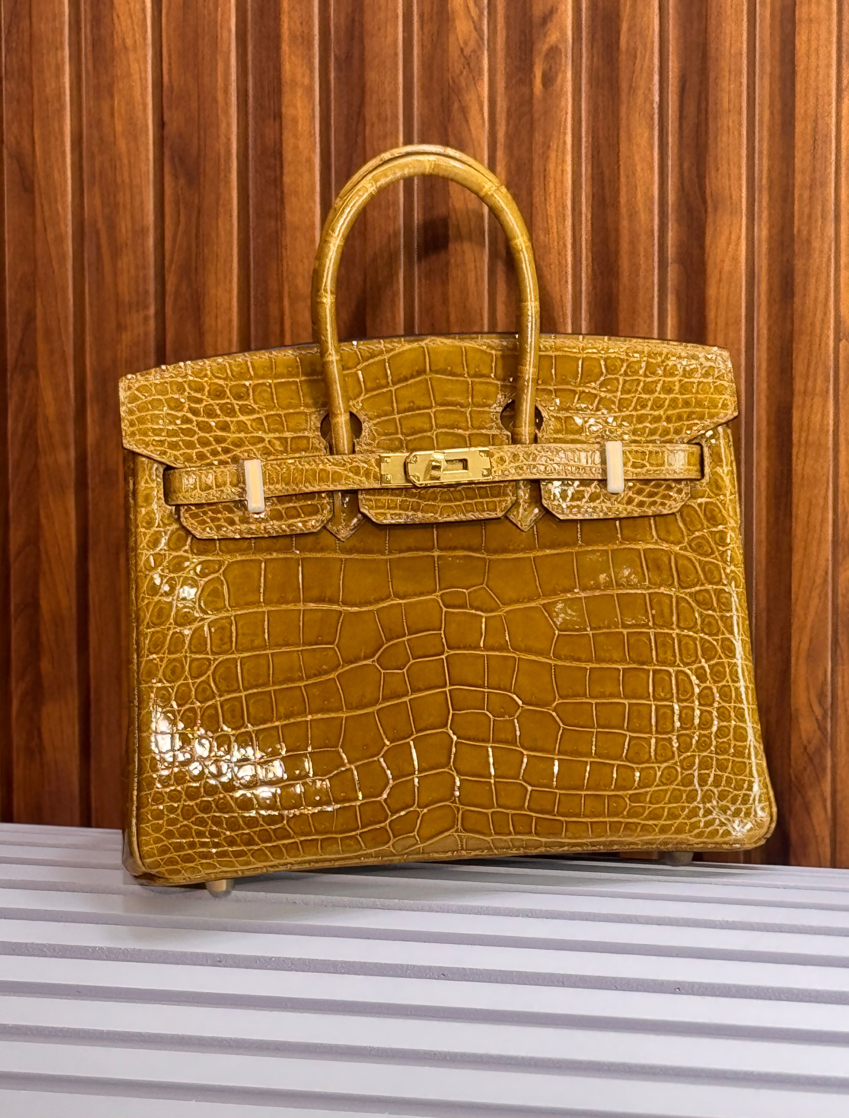 Hermes Birkin 25cm