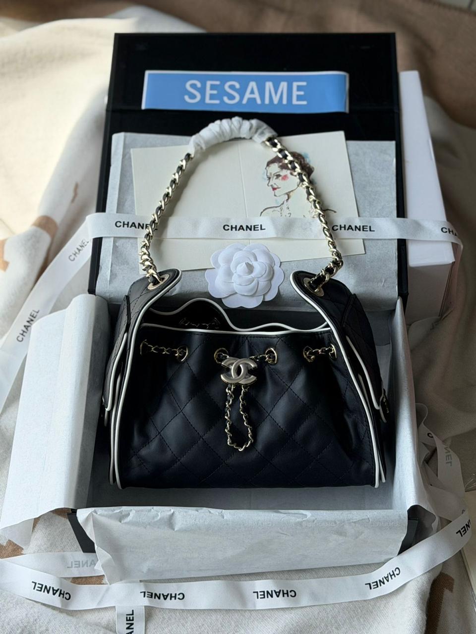 Chanel 25 Mini Hobo Bag 22cm
