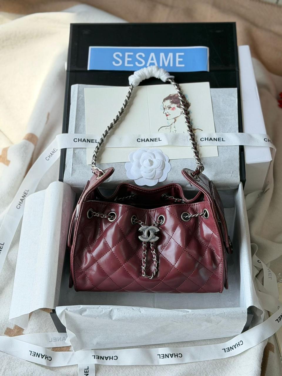 Chanel 25 Mini Hobo Bag 22cm