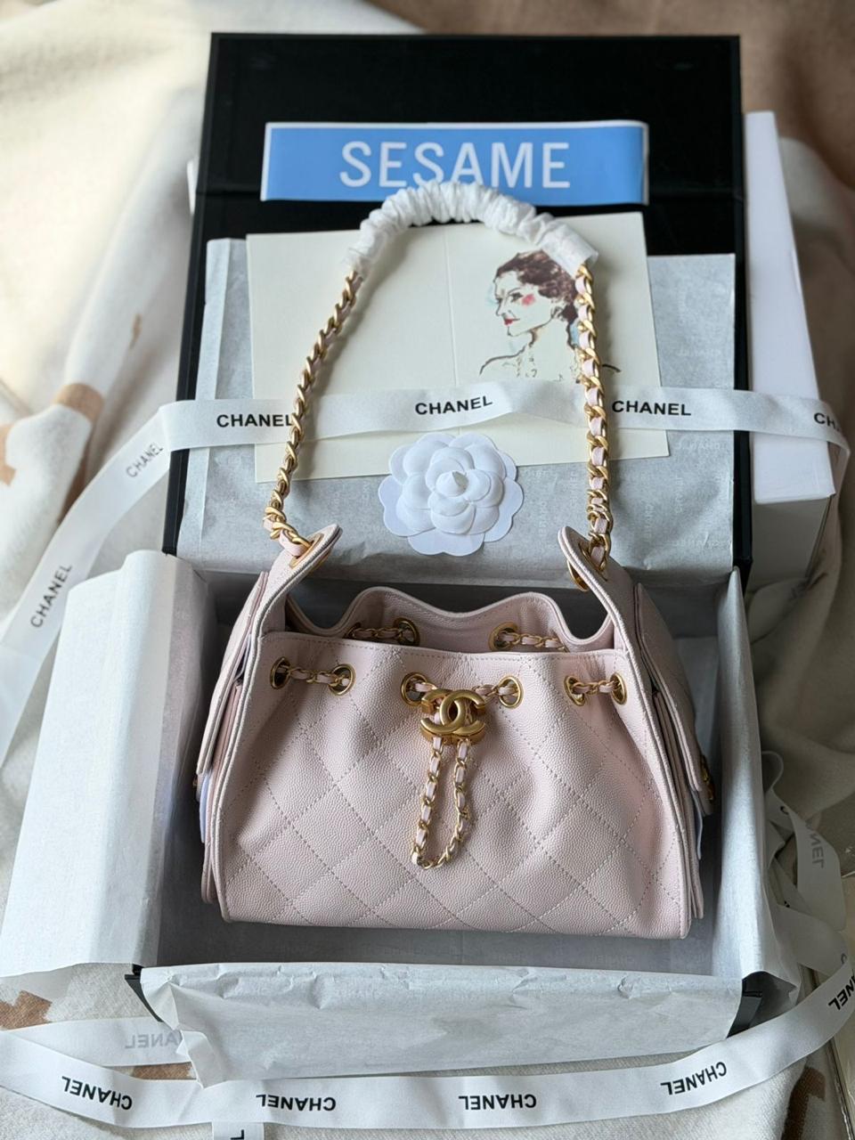 Chanel 25 Mini Hobo Bag 22cm