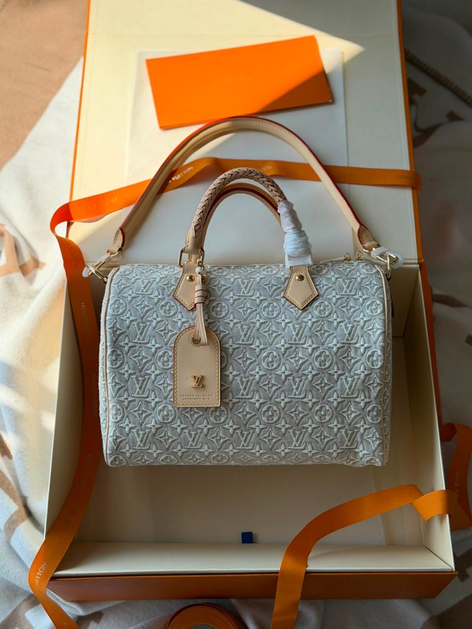Louis Vuitton Speedy Soft 30cm