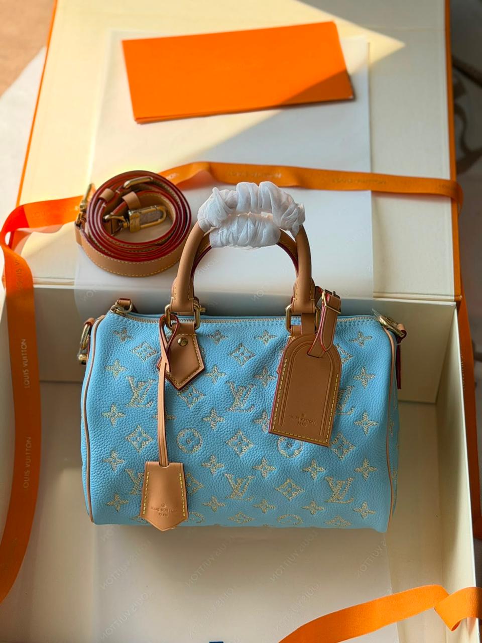 Louis Vuitton Speedy P9 Bandouliere 25cm