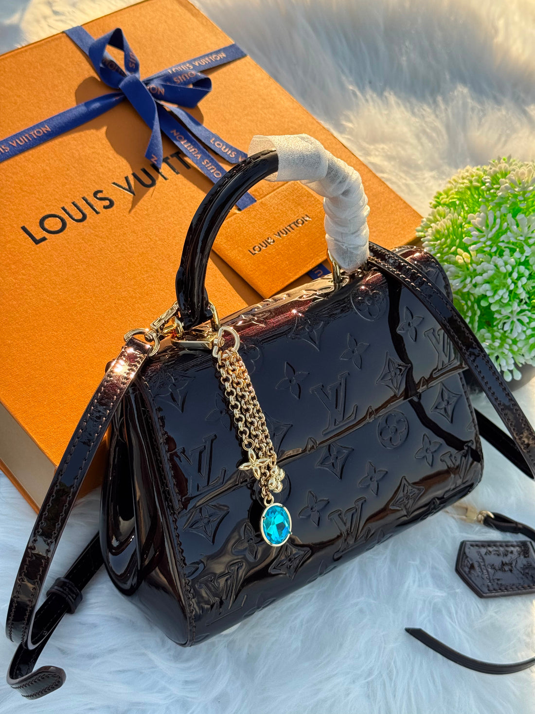 Louis Vuitton Cluny MIni 20cm