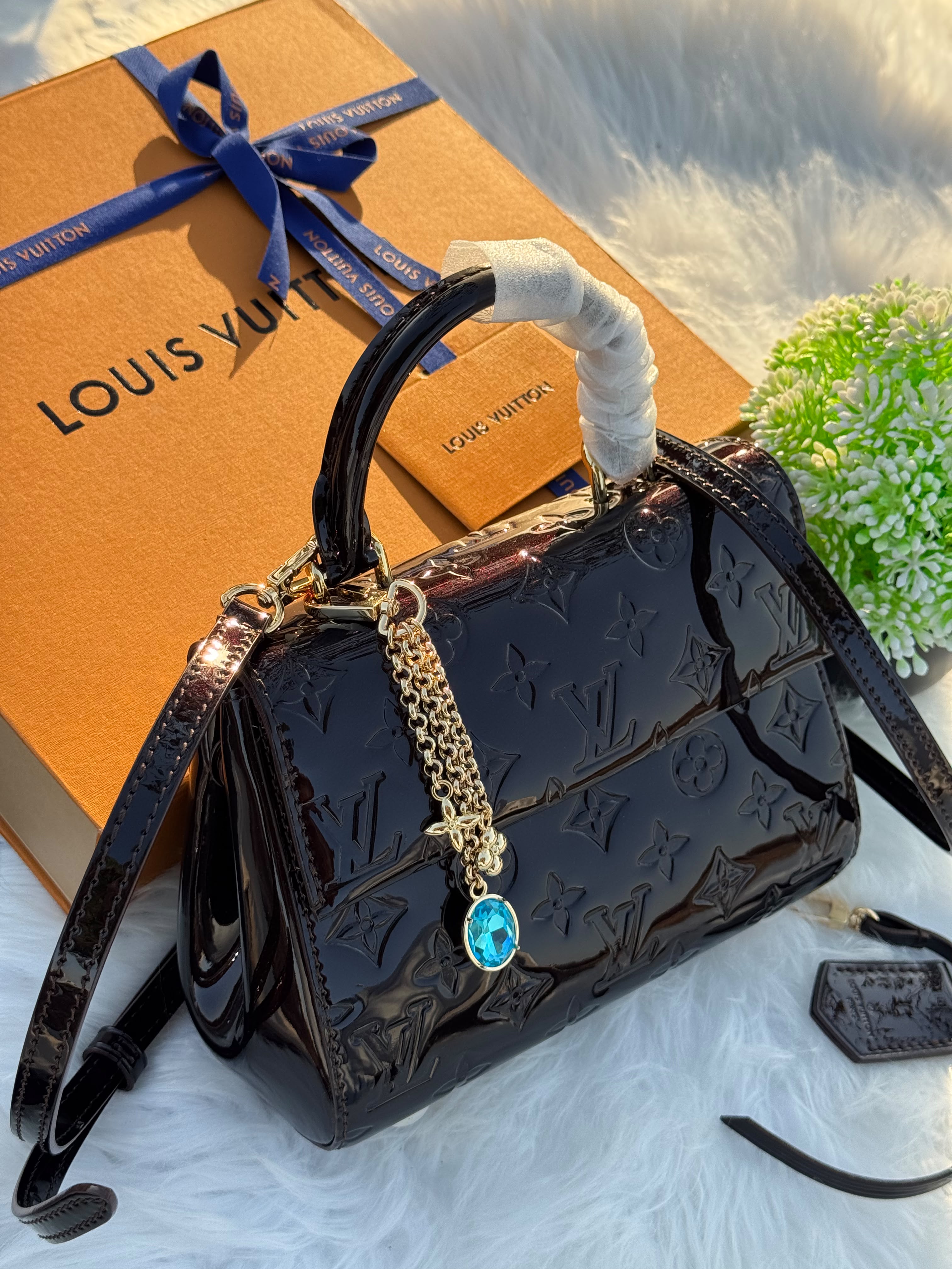 Louis Vuitton Cluny MIni 20cm