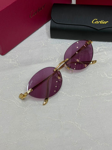 Cartier CT0504S